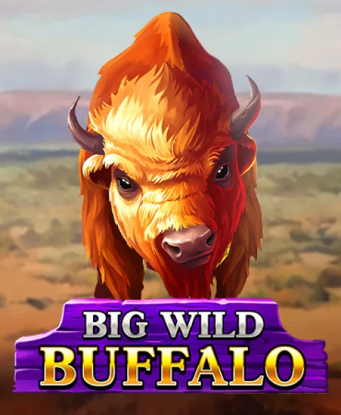 Play Big Wild Buffalo at Viking Bingo Casino
